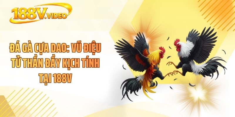 Đá Gà Cựa Dao: Vũ Điệu Tử Thần Đầy Kịch Tính Tại 188V